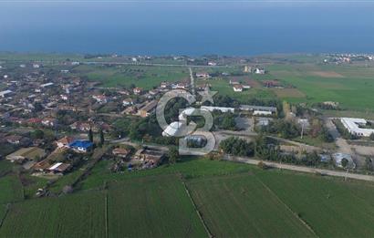 Gelibolu Koruköy de 3567 M² Satılık Arsa !