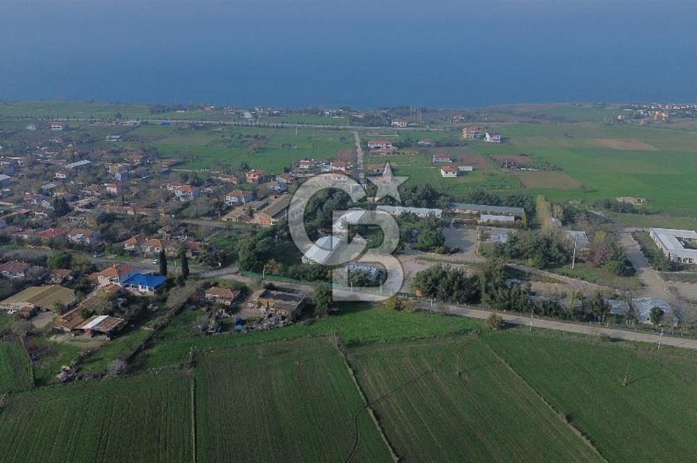 Gelibolu Koruköy de 3567 M² Satılık Arsa !