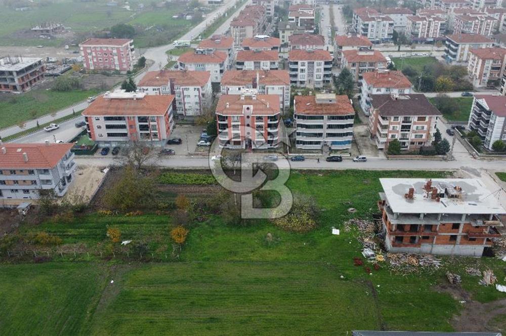 CB KİNG'DEN PAŞAALANI MAHALLESİ SATILIK KONUT İMARLI ARSA