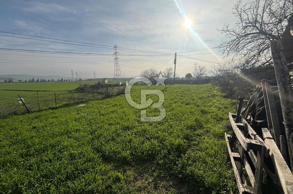 Gelibolu Koruköy de 3567 M² Satılık Arsa !