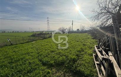 Gelibolu Koruköy de 3567 M² Satılık Arsa !