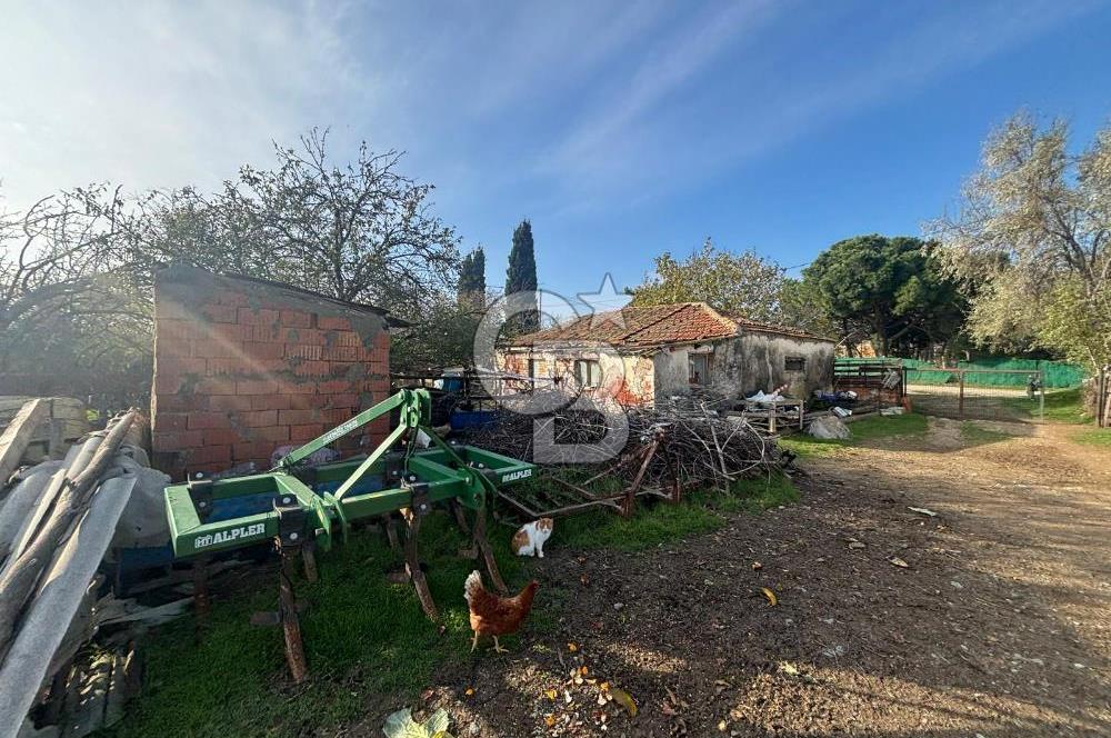 Gelibolu Koruköy de 3567 M² Satılık Arsa !