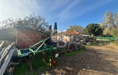 Gelibolu Koruköy de 3567 M² Satılık Arsa !