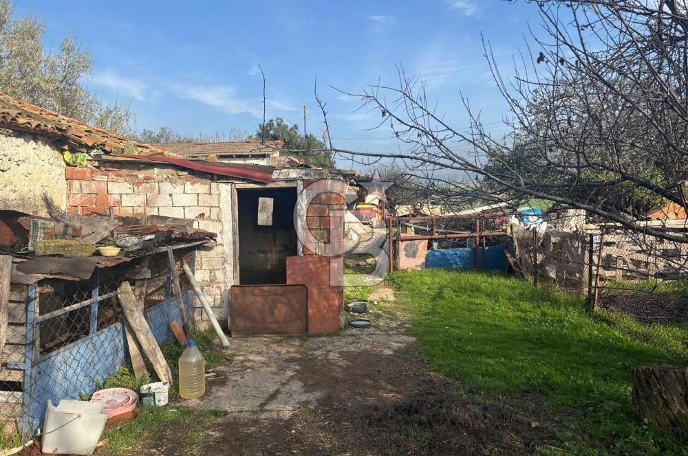 Gelibolu Koruköy de 3567 M² Satılık Arsa !