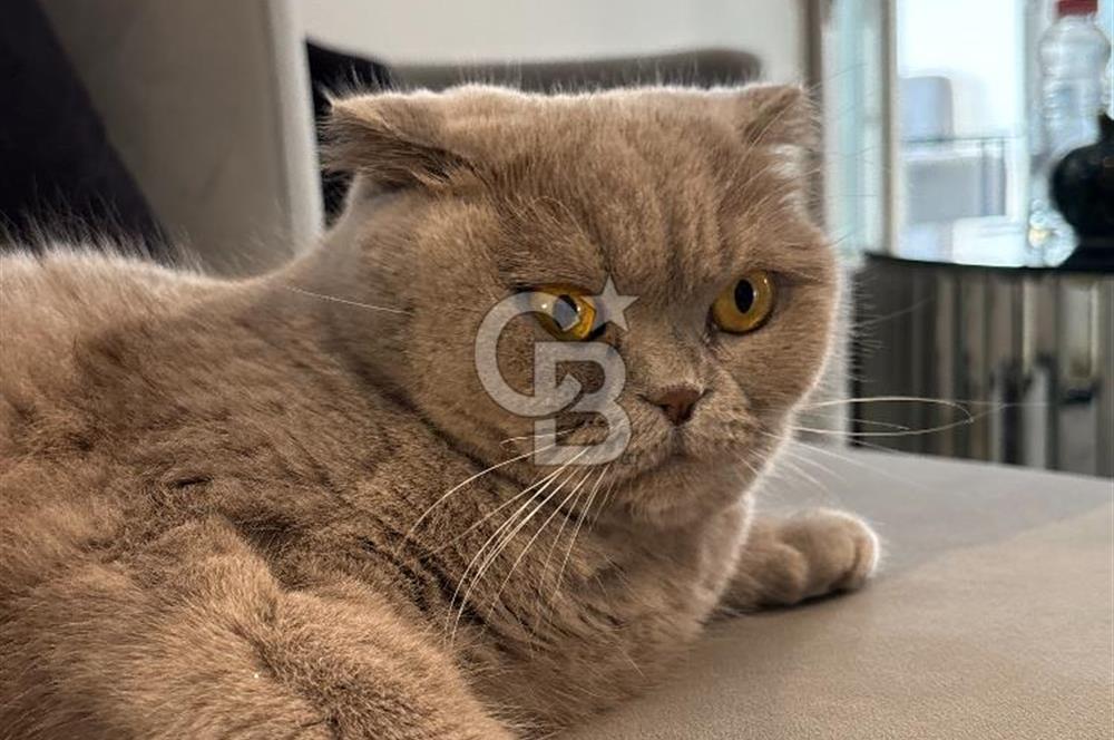 Bodrum Cevat Şakirde Anayol Üzeri Devren Güzellik Merkezi