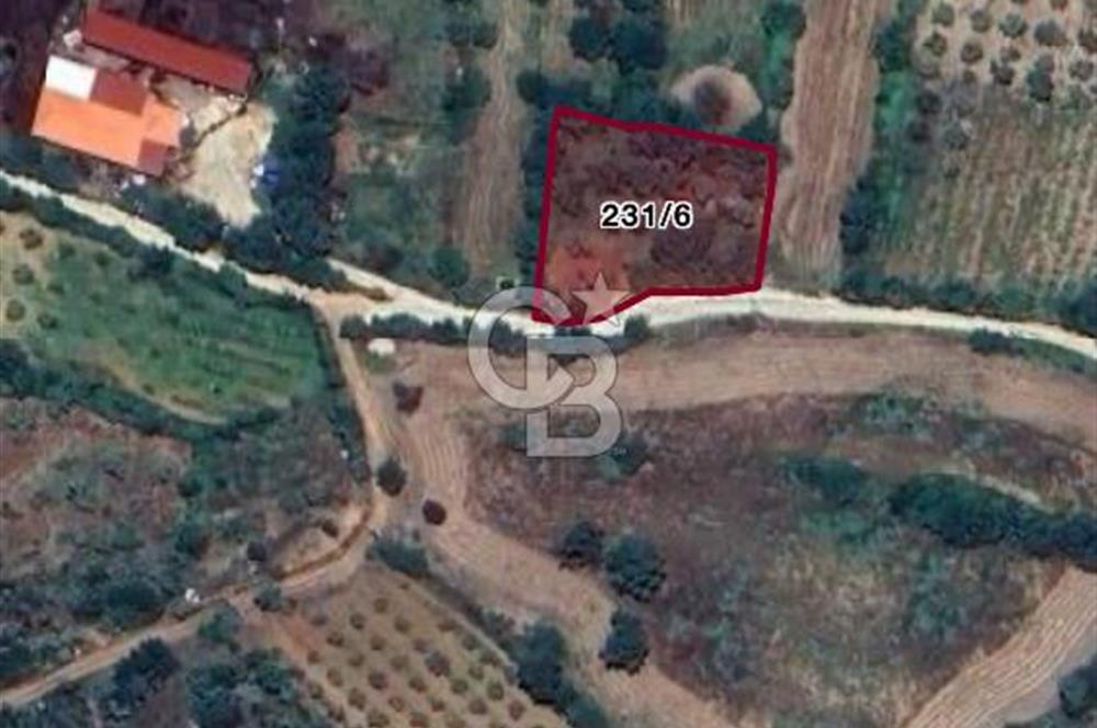 Muğla Yerkesikte köy içinde satılık tarla 