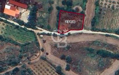 Muğla Yerkesikte köy içinde satılık tarla 