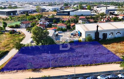 CB Elexus | Başiskele Kullar'da 2.099m2 KDKÇA Arsa