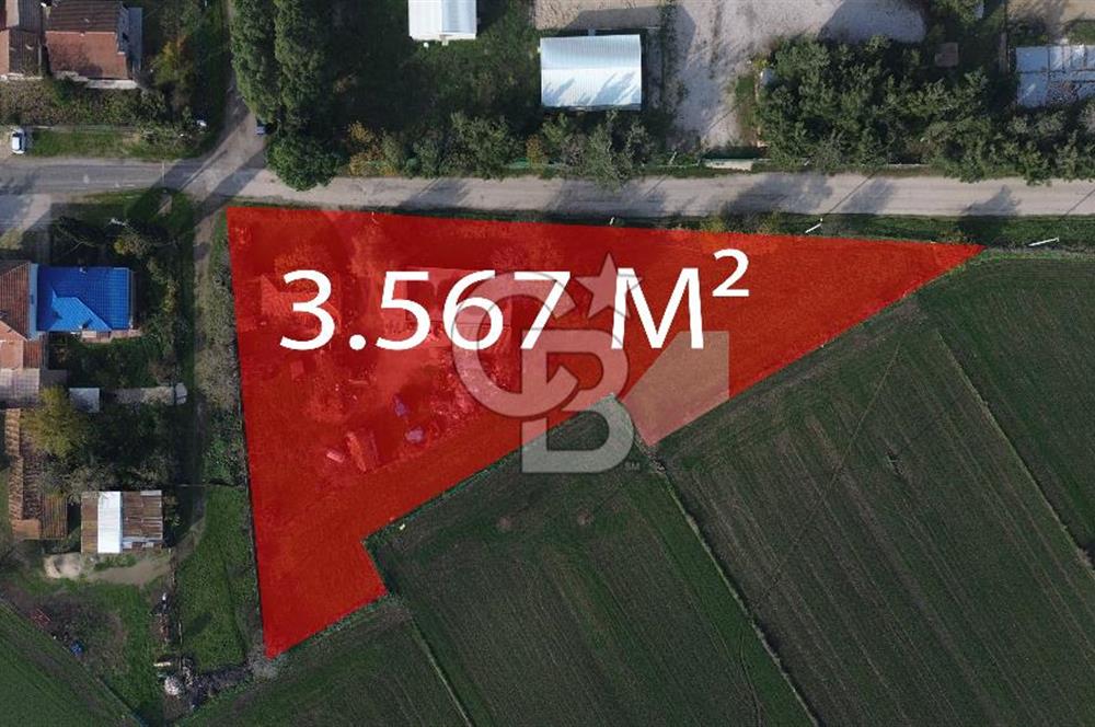 Gelibolu Koruköy de 3567 M² Satılık Arsa !