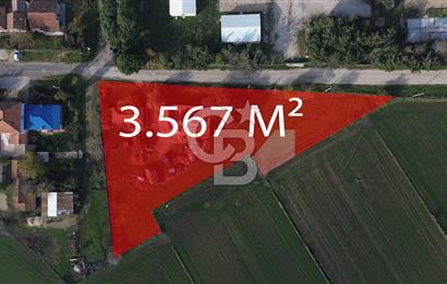 Gelibolu Koruköy de 3567 M² Satılık Arsa !