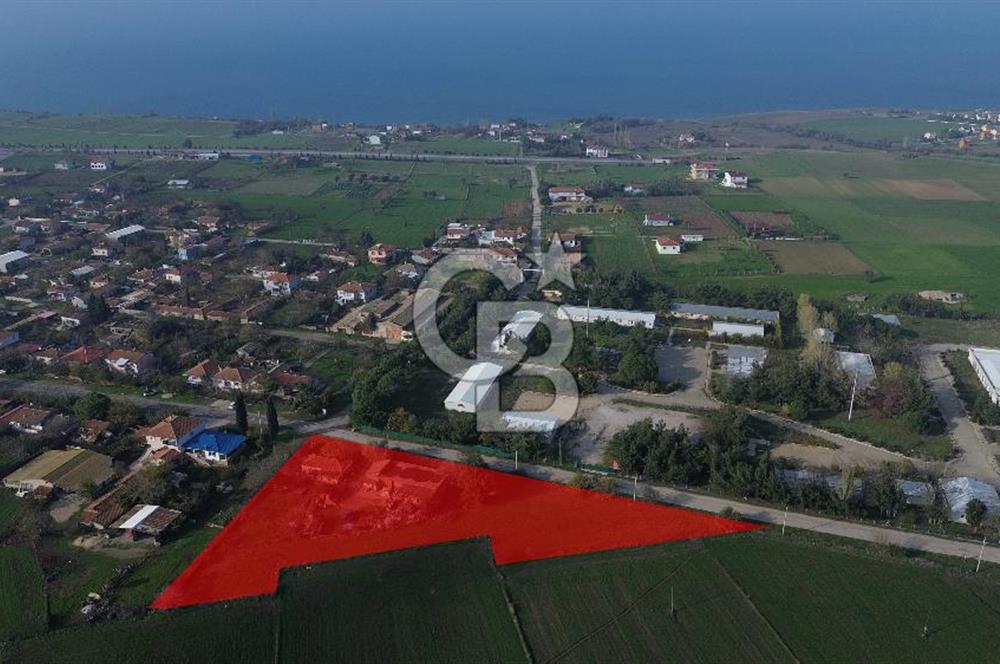 Gelibolu Koruköy de 3567 M² Satılık Arsa !