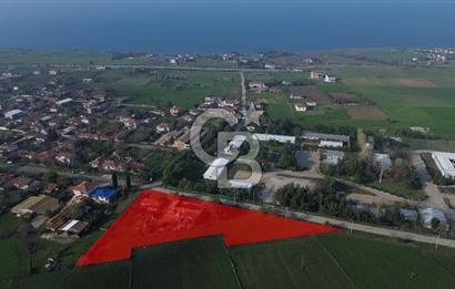 Gelibolu Koruköy de 3567 M² Satılık Arsa !