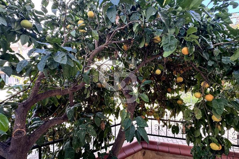 GÜZELBAHÇE YALI MAHLLESİNDE TRİPLEKS 