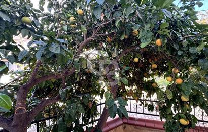 GÜZELBAHÇE YALI MAHLLESİNDE TRİPLEKS 