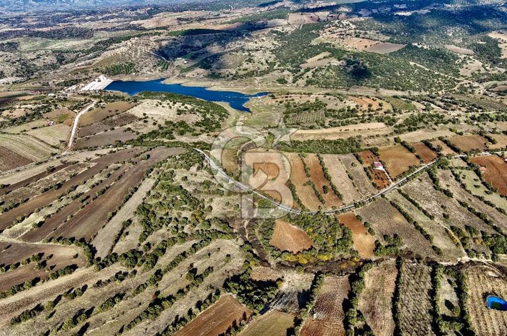 MANİSA KULA'DA BADEM BAHÇESİ