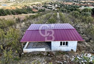 MANİSA KULA'DA BADEM BAHÇESİ - 1 - 319495