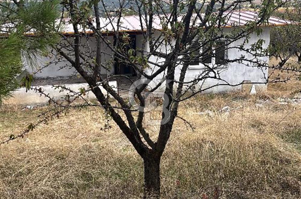 MANİSA KULA'DA BADEM BAHÇESİ