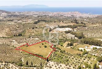 KUŞADASINDA DENİZ MANZARALI SATILIK TARLAFavorilerime EkleYazdırFacebook ile paylaş X ile paylaş E-posta ile gönder - 1 - 319646