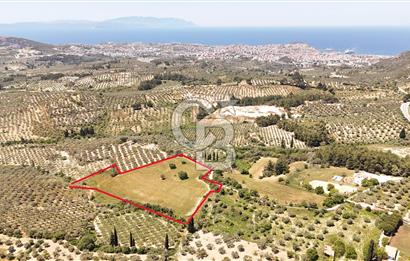 KUŞADASINDA DENİZ MANZARALI SATILIK TARLAFavorilerime EkleYazdırFacebook ile paylaş X ile paylaş E-posta ile gönder