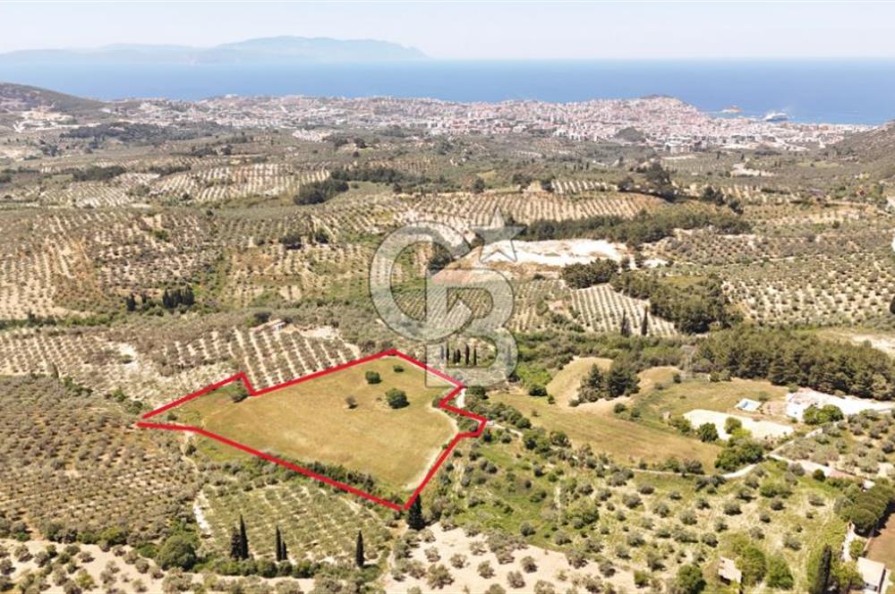 KUŞADASINDA DENİZ MANZARALI SATILIK TARLAFavorilerime EkleYazdırFacebook ile paylaş X ile paylaş E-posta ile gönder