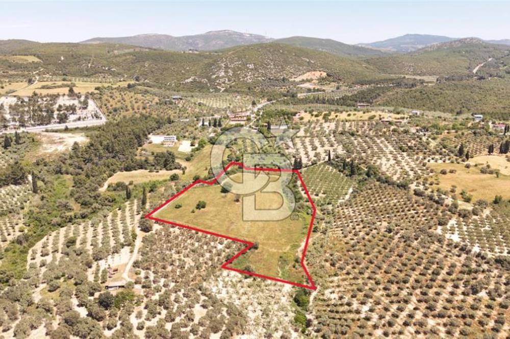 KUŞADASINDA DENİZ MANZARALI SATILIK TARLAFavorilerime EkleYazdırFacebook ile paylaş X ile paylaş E-posta ile gönder