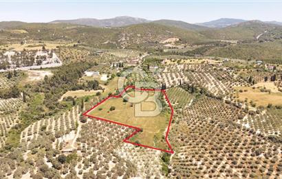 KUŞADASINDA DENİZ MANZARALI SATILIK TARLAFavorilerime EkleYazdırFacebook ile paylaş X ile paylaş E-posta ile gönder