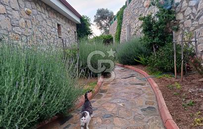 DATÇA MESUDİYE'DE DENİZ MANZARALI MÜSTAKİL GİRİŞLİ BAHÇELİ DAİRE