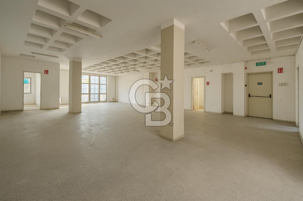 BORNOVA MTK SİTESİNDE 4 KATLI KİRALIK BİNA