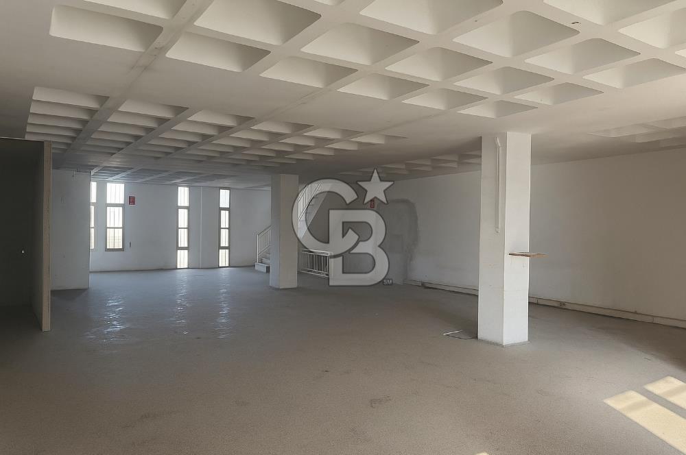 BORNOVA MTK SİTESİNDE 4 KATLI KİRALIK BİNA