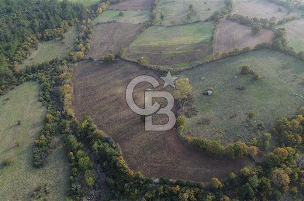 Çanakkale Bayrami.  Hacıdervişler De 20.502 M² Satılık Tarla !