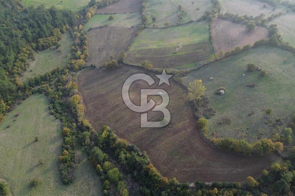 Çanakkale Bayrami.  Hacıdervişler De 20.502 M² Satılık Tarla !