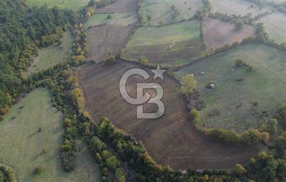 Çanakkale Bayrami.  Hacıdervişler De 20.502 M² Satılık Tarla !