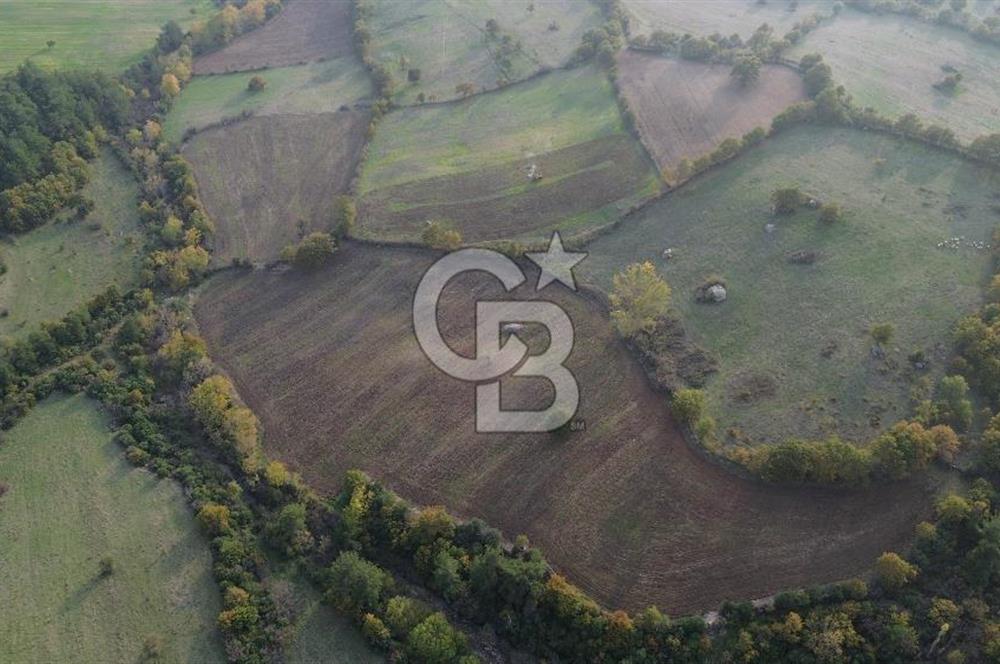 Çanakkale Bayrami.  Hacıdervişler De 20.502 M² Satılık Tarla !