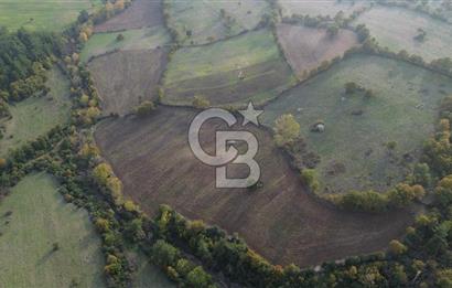 Çanakkale Bayrami.  Hacıdervişler De 20.502 M² Satılık Tarla !