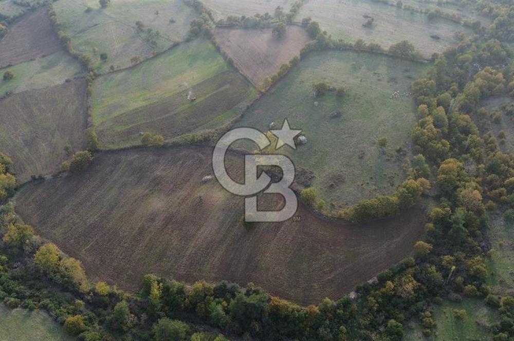 Çanakkale Bayrami.  Hacıdervişler De 20.502 M² Satılık Tarla !