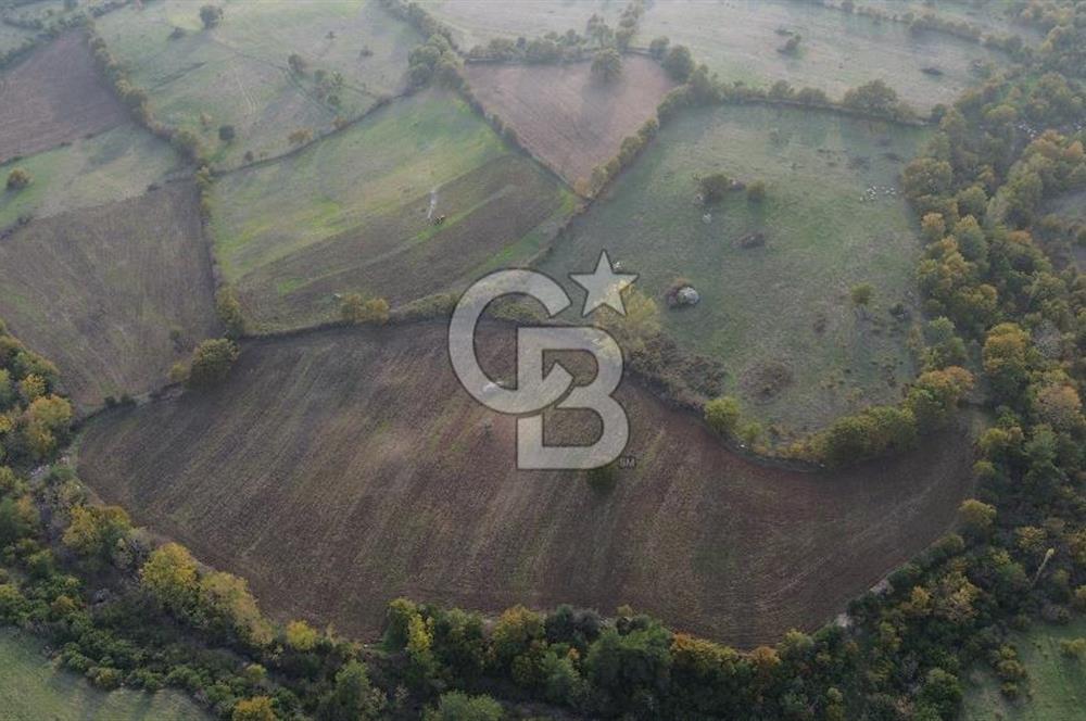 Çanakkale Bayrami.  Hacıdervişler De 20.502 M² Satılık Tarla !