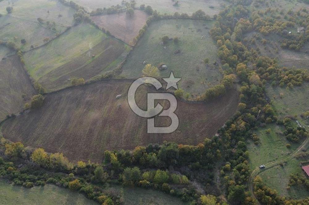Çanakkale Bayrami.  Hacıdervişler De 20.502 M² Satılık Tarla !