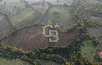 Çanakkale Bayrami.  Hacıdervişler De 20.502 M² Satılık Tarla !