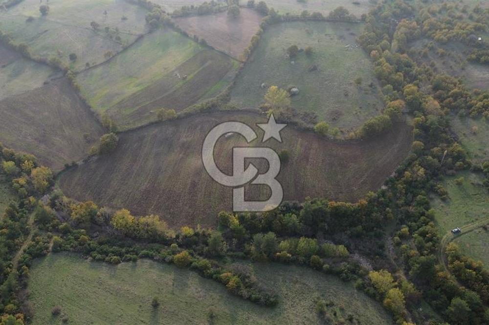 Çanakkale Bayrami.  Hacıdervişler De 20.502 M² Satılık Tarla !
