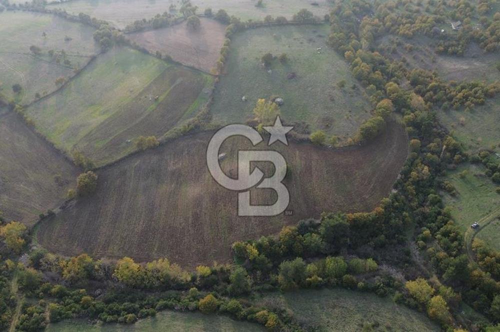 Çanakkale Bayrami.  Hacıdervişler De 20.502 M² Satılık Tarla !