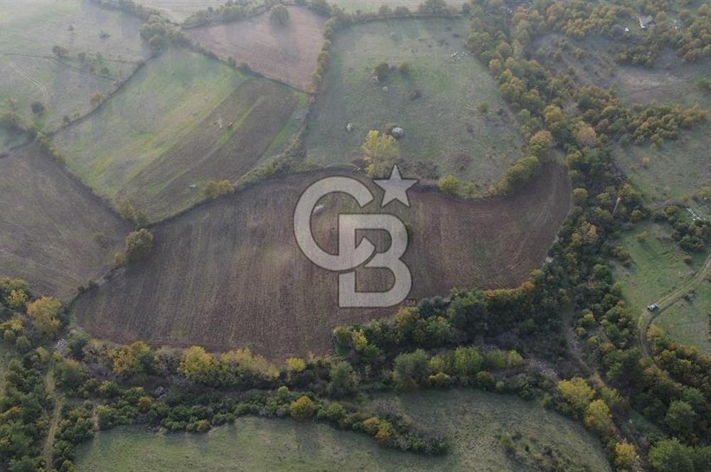 Çanakkale Bayrami.  Hacıdervişler De 20.502 M² Satılık Tarla !