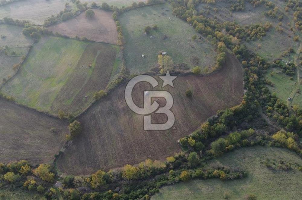 Çanakkale Bayrami.  Hacıdervişler De 20.502 M² Satılık Tarla !