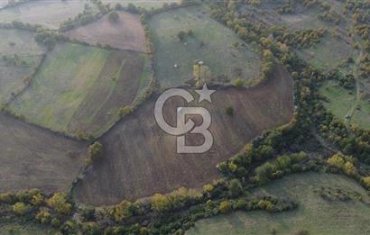 Çanakkale Bayrami.  Hacıdervişler De 20.502 M² Satılık Tarla !