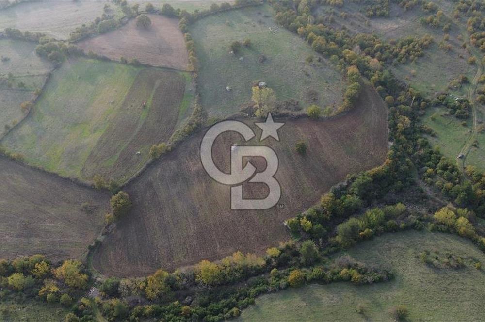 Çanakkale Bayrami.  Hacıdervişler De 20.502 M² Satılık Tarla !