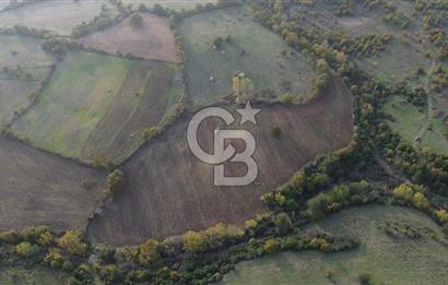 Çanakkale Bayrami.  Hacıdervişler De 20.502 M² Satılık Tarla !