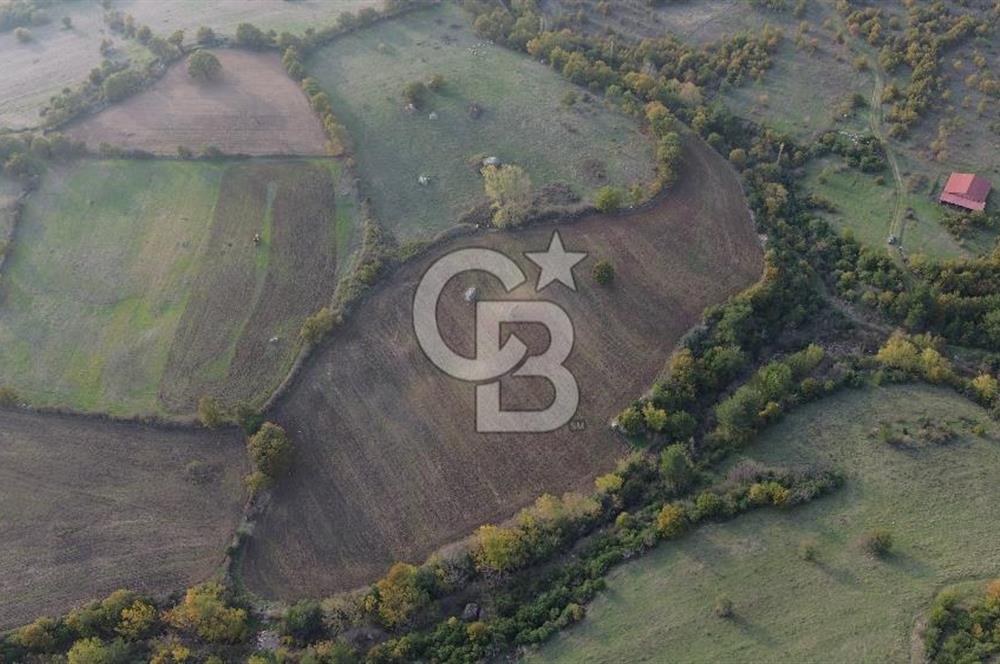 Çanakkale Bayrami.  Hacıdervişler De 20.502 M² Satılık Tarla !