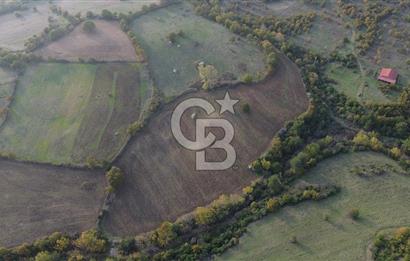 Çanakkale Bayrami.  Hacıdervişler De 20.502 M² Satılık Tarla !