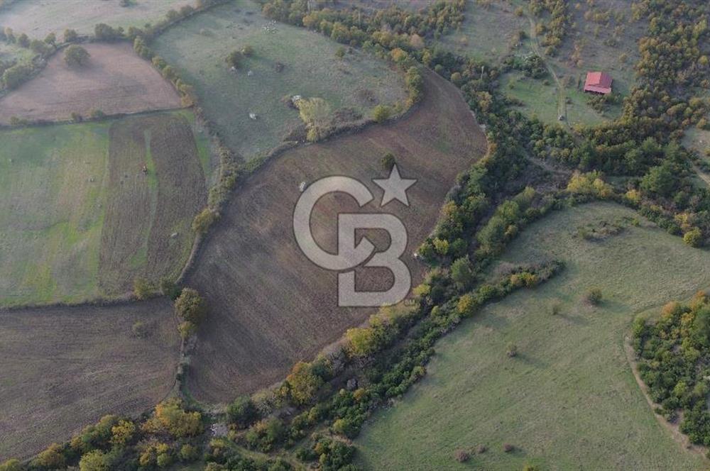 Çanakkale Bayrami.  Hacıdervişler De 20.502 M² Satılık Tarla !