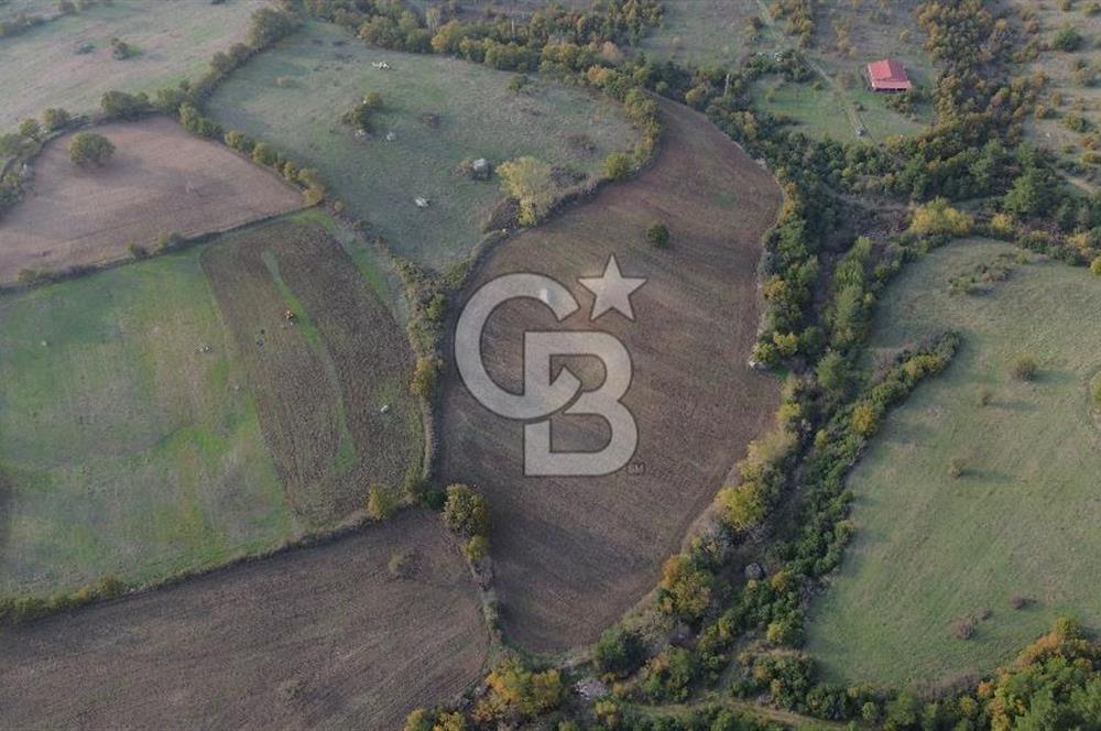 Çanakkale Bayrami.  Hacıdervişler De 20.502 M² Satılık Tarla !