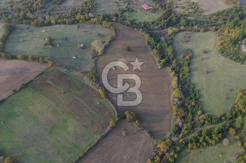 Çanakkale Bayrami.  Hacıdervişler De 20.502 M² Satılık Tarla !